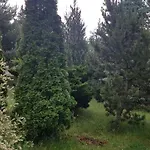 Na Wsi Dlugosiodlo